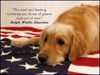 Beecher on the 4th of July